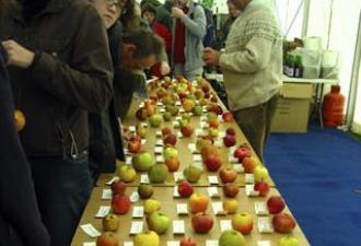 Apple Day in the UK