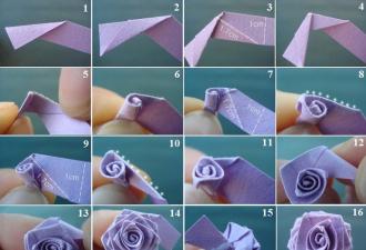 Diagram lekcije origami vrtnica iz papirja